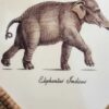 African Safari Animal Plaques by Raymond 'Waites Estates