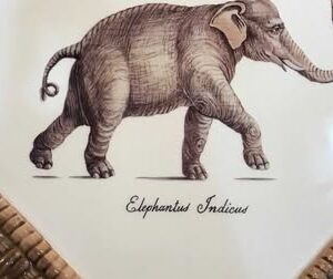 African Safari Animal Plaques by Raymond 'Waites Estates