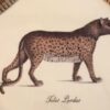 African Safari Animal Plaques by Raymond 'Waites Estates - Image 5
