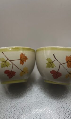 Fall sectional platter and bowls